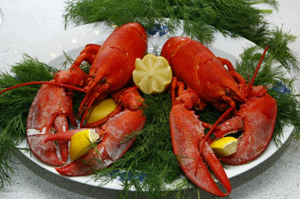 gårdschips